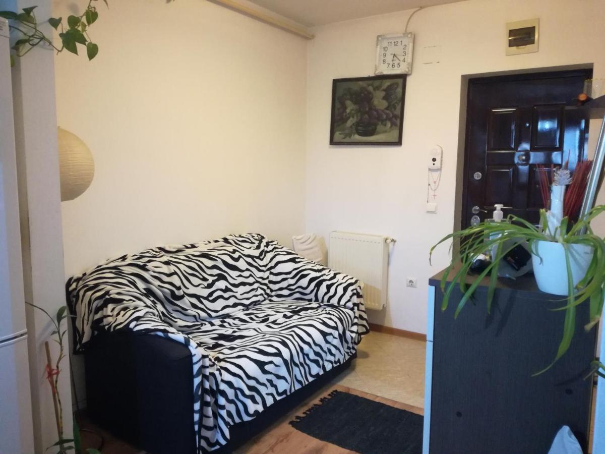 Apartament 2Camere - Prima Casa ฟลอเรชติ ภายนอก รูปภาพ
