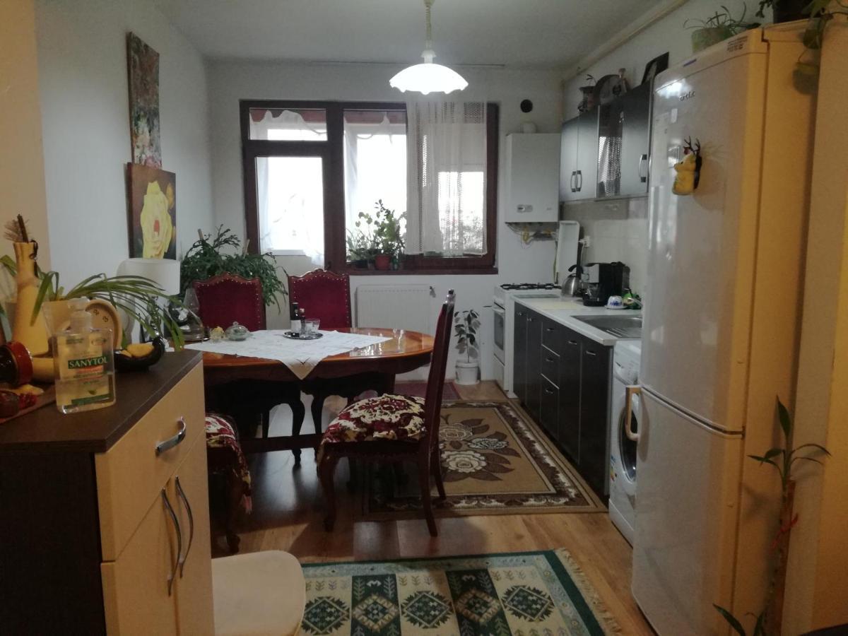 Apartament 2Camere - Prima Casa ฟลอเรชติ ภายนอก รูปภาพ